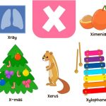 Words That Start With X - Learn X Words for Kids in English