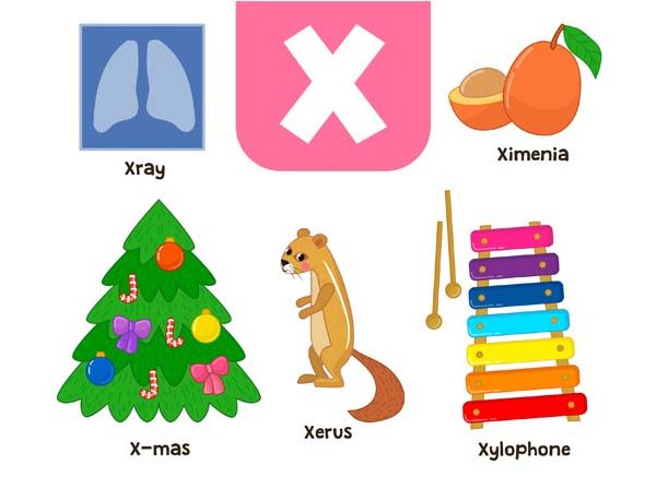 Words That Start With X - Learn X Words for Kids in English