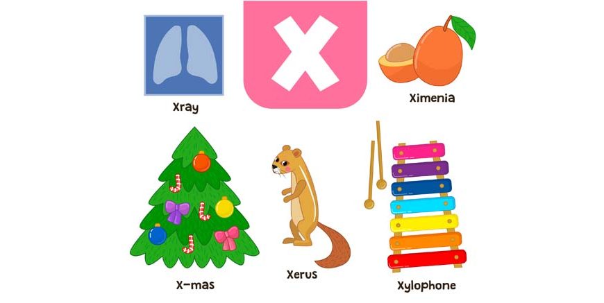 Words That Start With X - Learn X Words for Kids in English