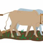 Importance of Farmers Learn Important Terms and Concepts