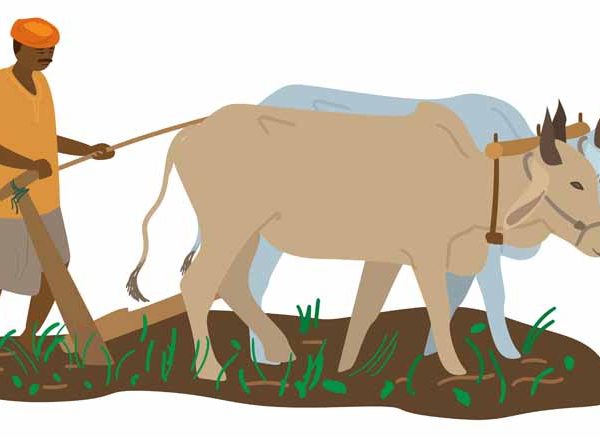 Importance of Farmers Learn Important Terms and Concepts