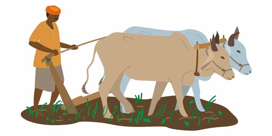 Importance of Farmers Learn Important Terms and Concepts