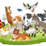 Farm Animal Names In English For Kids