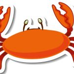 Fascinating Facts About Crab for Students | EVS Explained