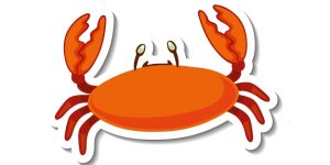 Fascinating Facts About Crab for Students | EVS Explained
