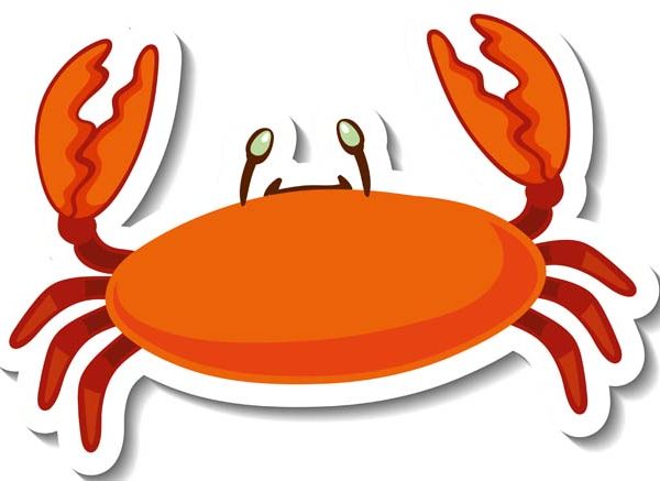 Fascinating Facts About Crab for Students | EVS Explained