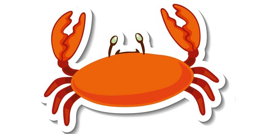 Fascinating Facts About Crab for Students | EVS Explained
