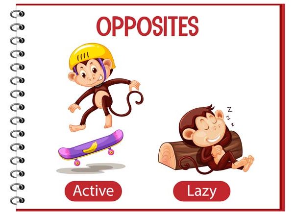 Antonyms List - 100+ Opposite Words In English For Class 2 Children