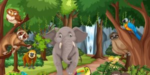 Facts About Jungle Key Insights & Types for Students