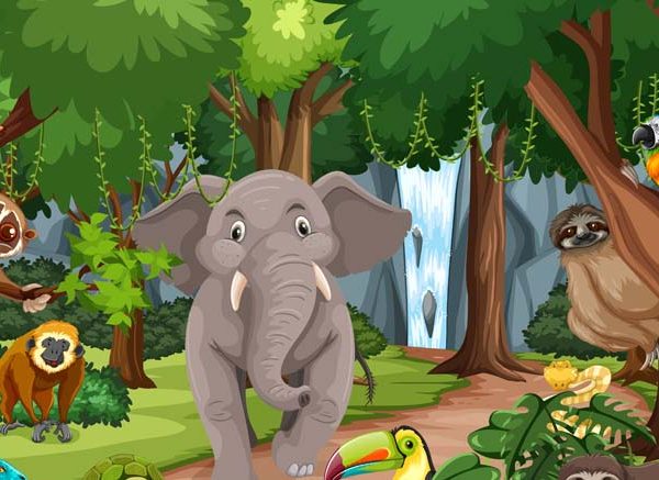 Facts About Jungle Key Insights & Types for Students