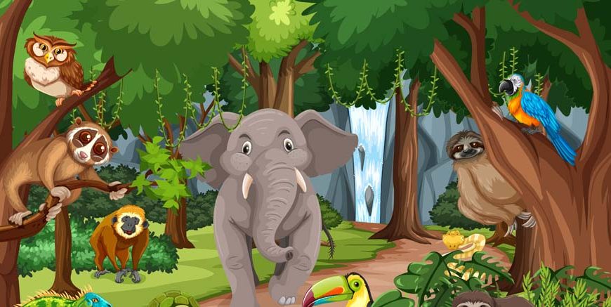 Facts About Jungle Key Insights & Types for Students