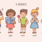 How to Teach Five Sense Organs & Their Functions To Preschoolers