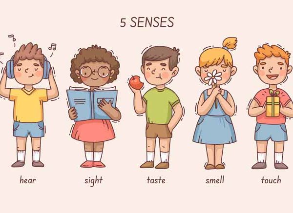 How to Teach Five Sense Organs & Their Functions To Preschoolers