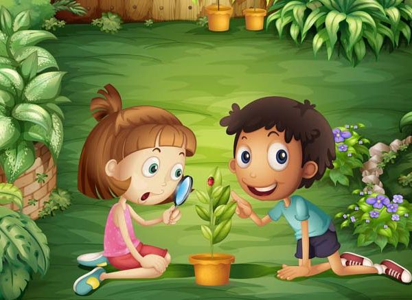 My Garden Essay In English for Class 1-3 10 Lines, Short & Long Paragraph