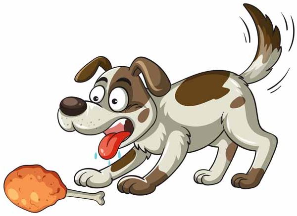 The Greedy Dog Story For Children With Moral