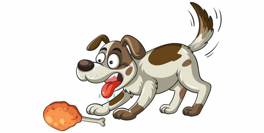 The Greedy Dog Story For Children With Moral