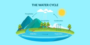 Water Cycle Explained Definition, Steps and Facts for Students