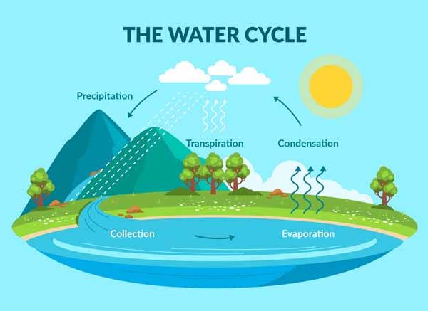 Water Cycle Explained Definition, Steps and Facts for Students