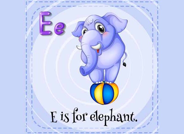 Words That Start With E - Learn E Words for Kids in English