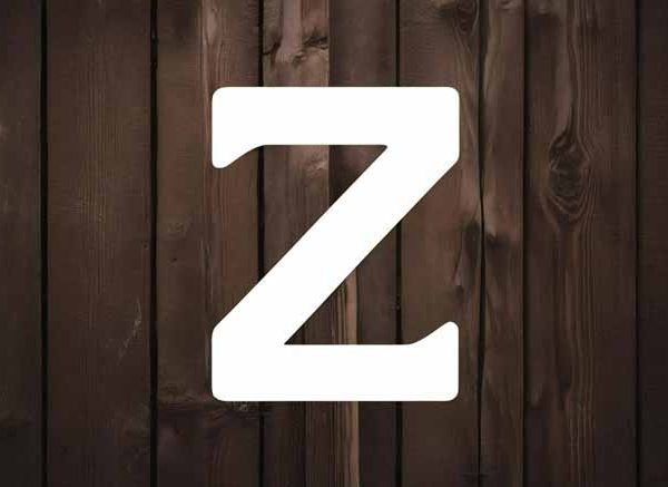 List of 3 Letter Words That Start With ‘Z’ For Children To Learn