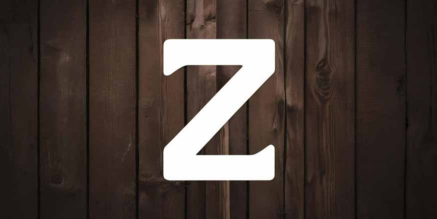 3 Letter Words Starting With Z for Kids