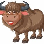 Facts About Yak | Learn Important Terms and Concepts