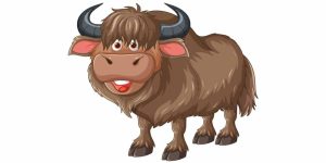 Facts About Yak | Learn Important Terms and Concepts