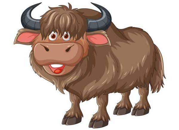 Facts About Yak | Learn Important Terms and Concepts