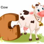Cow Essay in English for Class 1 Short Essay on Cow