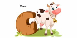 Cow Essay in English for Class 1 Short Essay on Cow