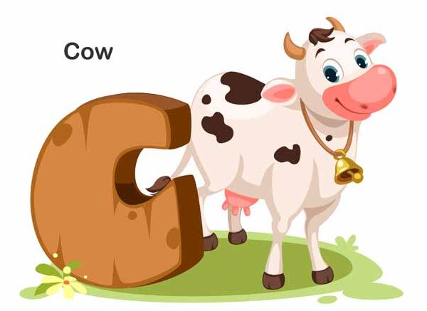 Cow Essay in English for Class 1 | Short Essay on Cow