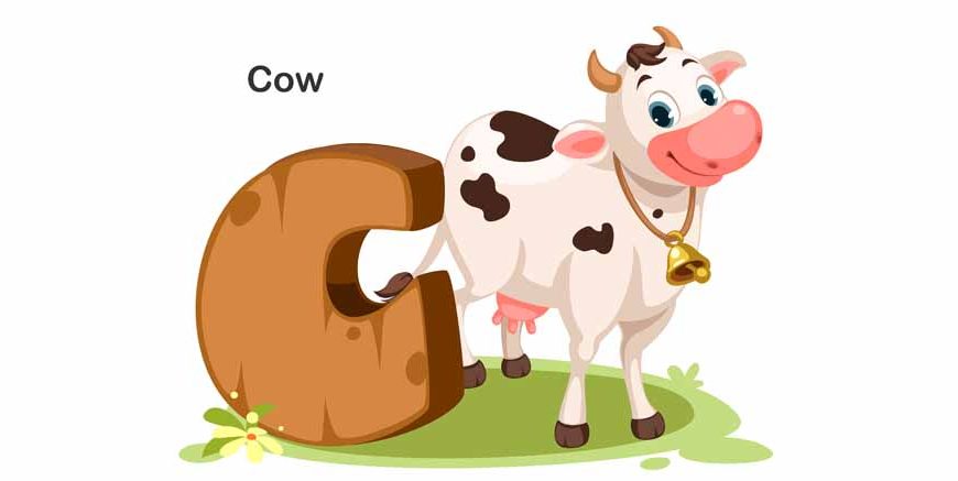 Cow Essay in English for Class 1 Short Essay on Cow
