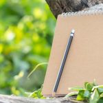 Essay On Trees (in English) for Classes 1, 2 & 3 10 Lines, Short & Long Paragraph