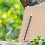 Essay on Neem Tree in English For Students and Children