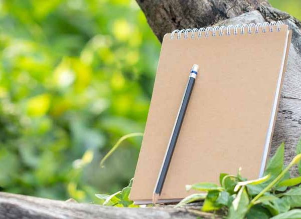 Essay on Neem Tree in English For Students and Children
