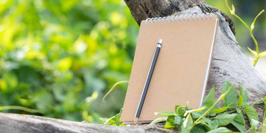 Essay on Neem Tree in English For Students and Children