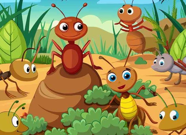 The Ant And The Grasshopper Story in English for Kids With Moral