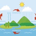 Evaporation and Condensation Definitions, Uses & Differences