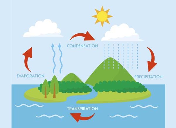 Evaporation and Condensation Definitions, Uses & Differences