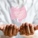 Facts About the Appendix in Animals Key Functions & Examples