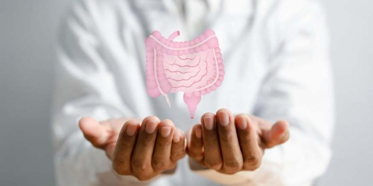 Facts About the Appendix in Animals Key Functions & Examples