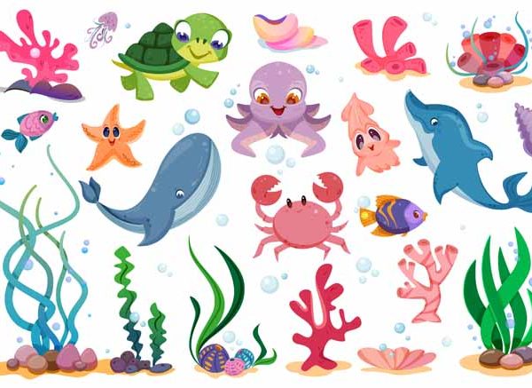 Facts & Information About Sea Animals for Kids