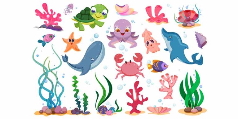 Facts & Information About Sea Animals for Kids