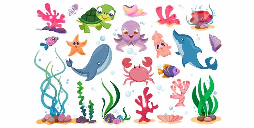 Facts & Information About Sea Animals for Kids