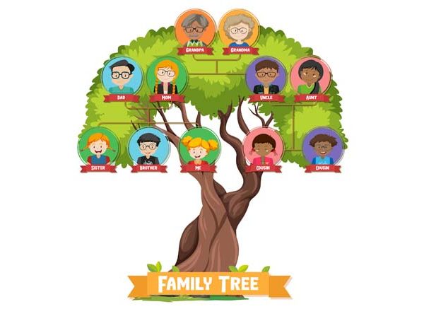 Family Relationship for Kids: Learn with Fun Charts & Examples