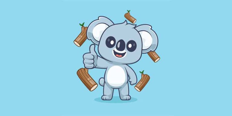 Koala Interesting Facts Learn Important Terms and Concepts