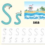 List of 3 Letter Words That Start With 'S' For Children To Learn