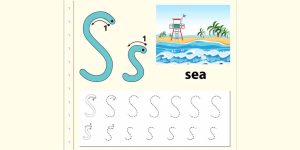 List of 3 Letter Words That Start With 'S' For Children To Learn