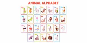 Names Of Pet Animals In English For Kids