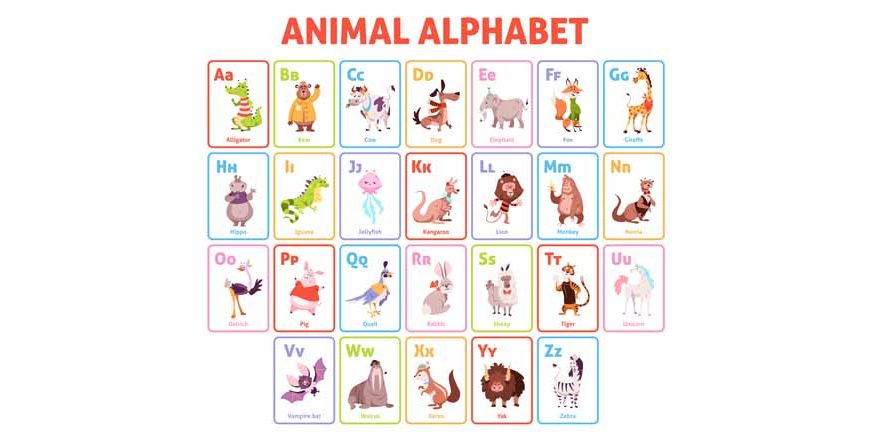 Names Of Pet Animals In English For Kids
